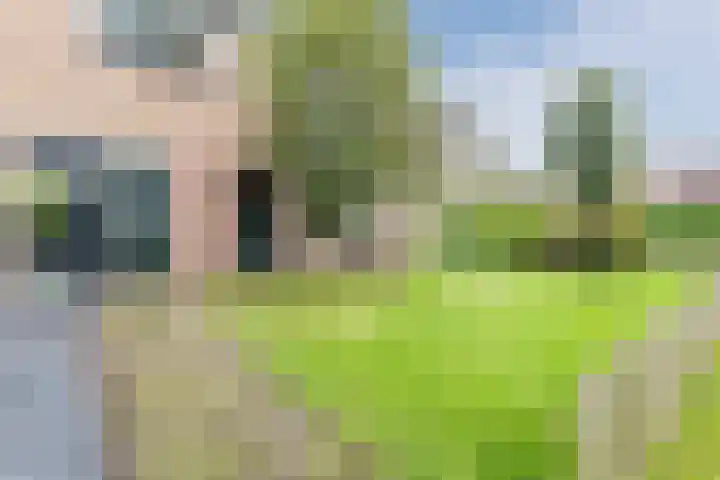 Julianalaan 10 Heerde thumbnail 6