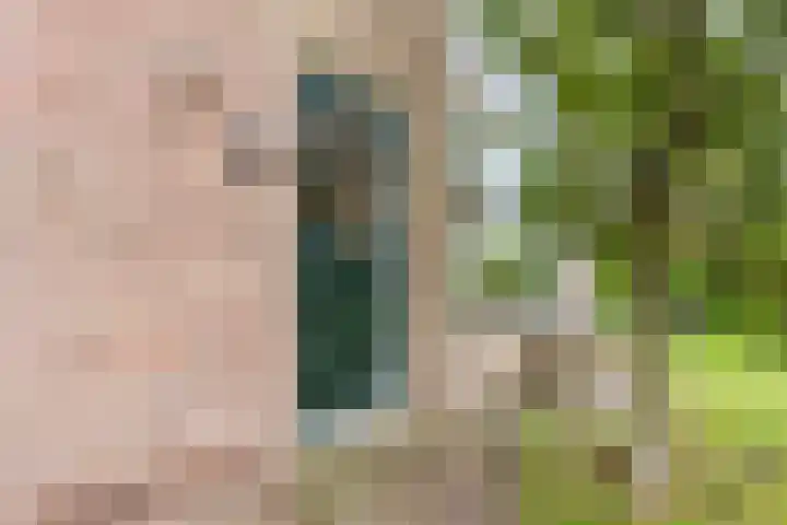 Julianalaan 10 Heerde thumbnail 7