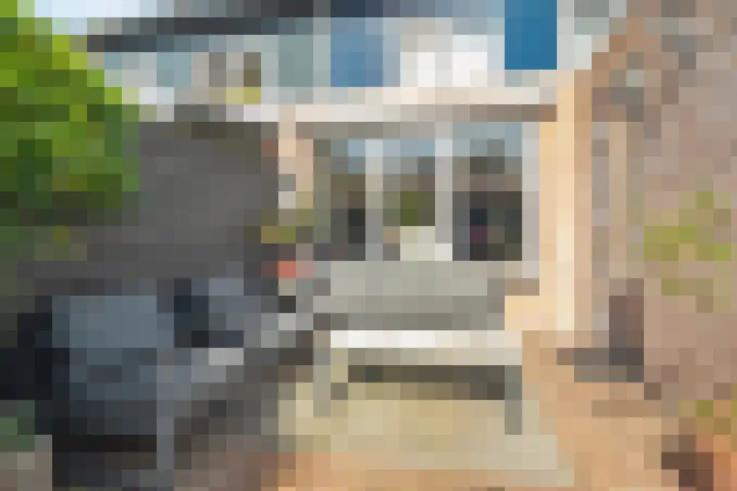 Julianalaan 10 't Veld thumbnail 12