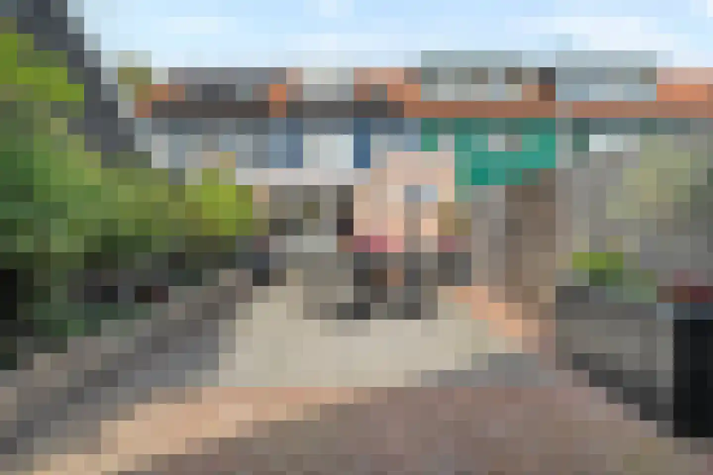 Julianalaan 10 't Veld thumbnail 16