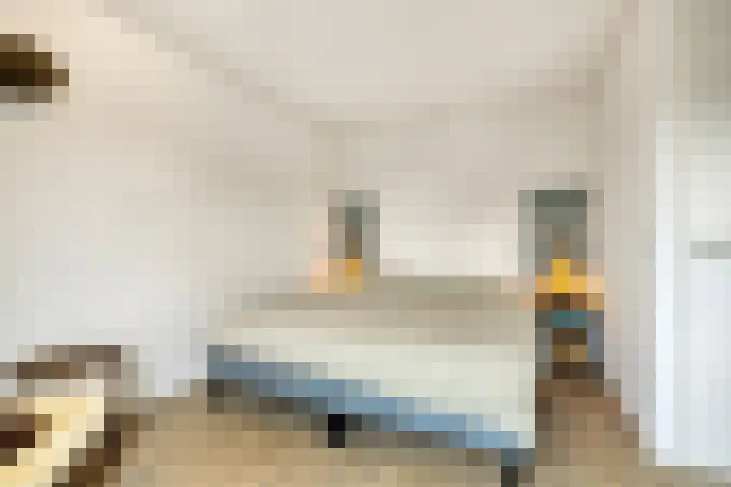 Julianalaan 10 't Veld thumbnail 19