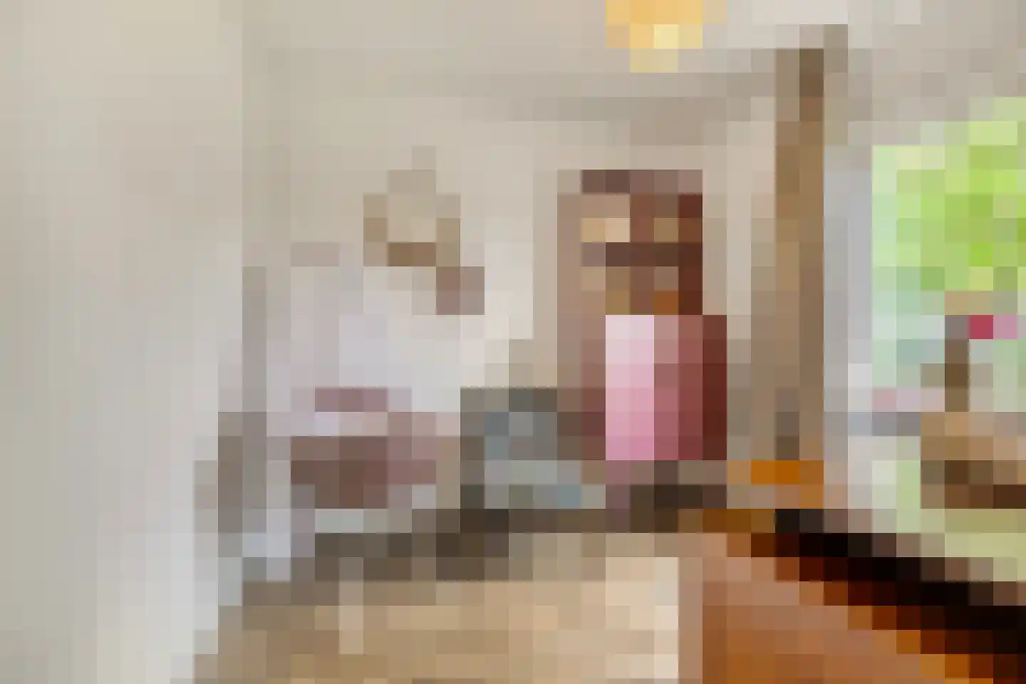 Julianalaan 10 't Veld thumbnail 21