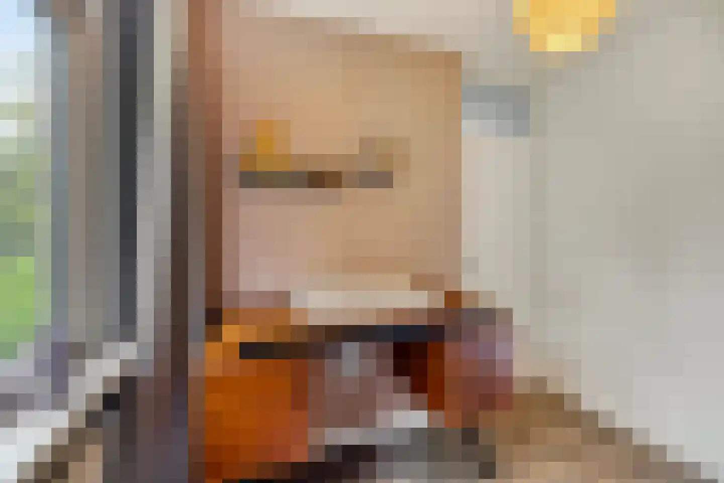 Julianalaan 10 't Veld thumbnail 23