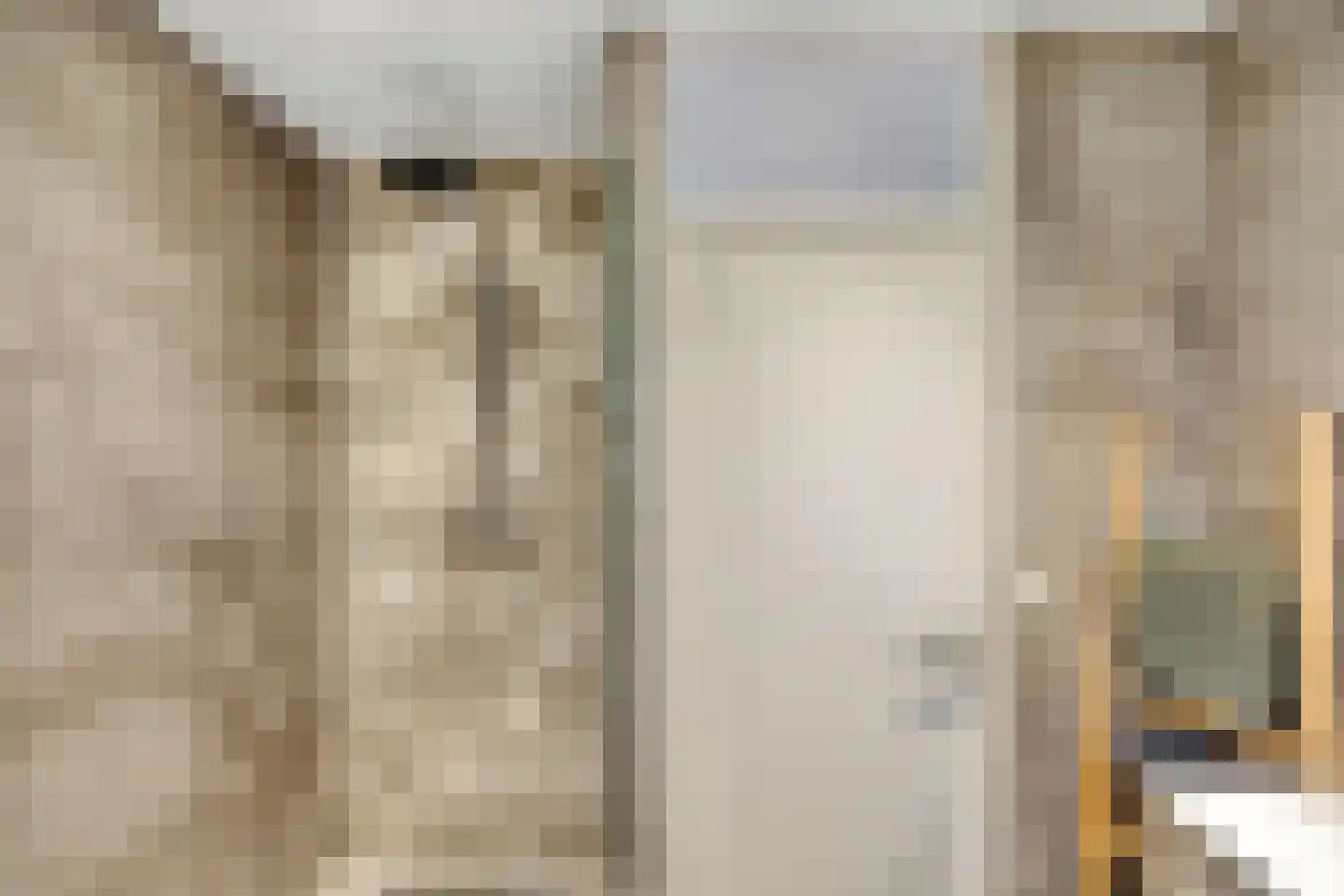 Julianalaan 10 't Veld thumbnail 25