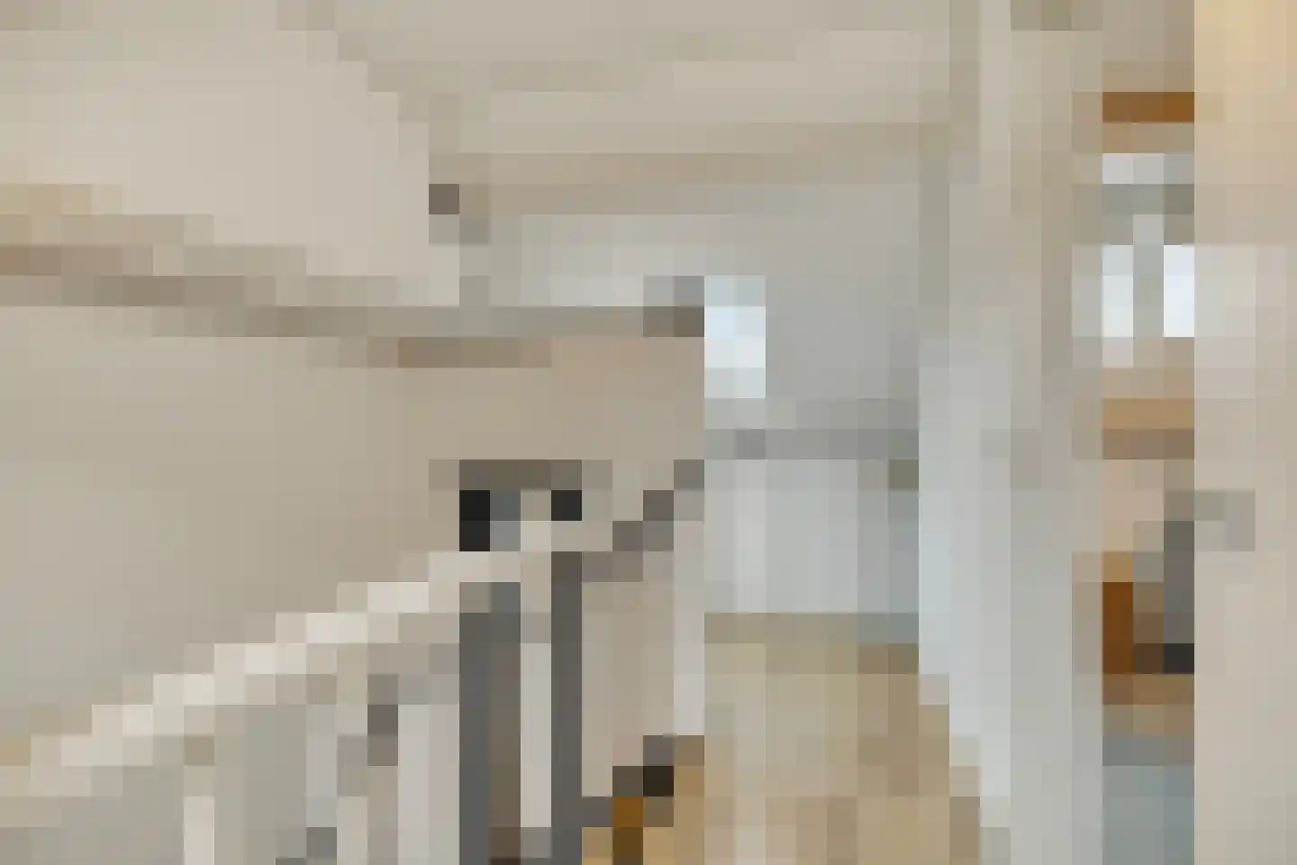 Julianalaan 10 't Veld thumbnail 27