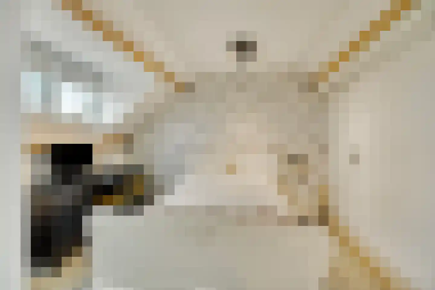 Julianalaan 10 't Veld thumbnail 28