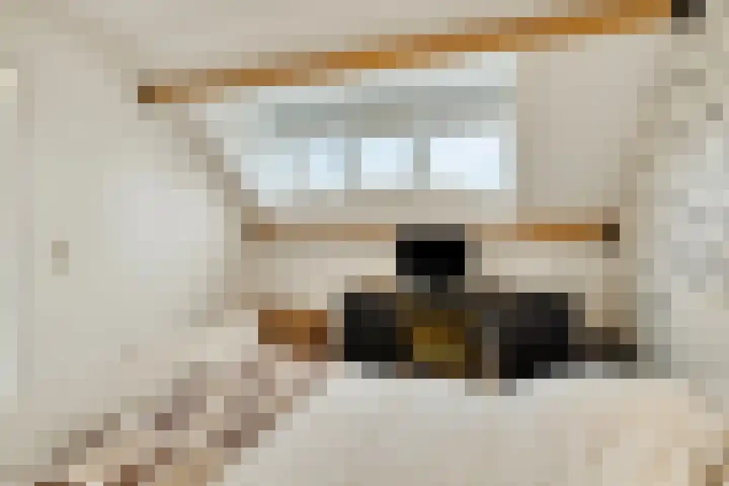 Julianalaan 10 't Veld thumbnail 29
