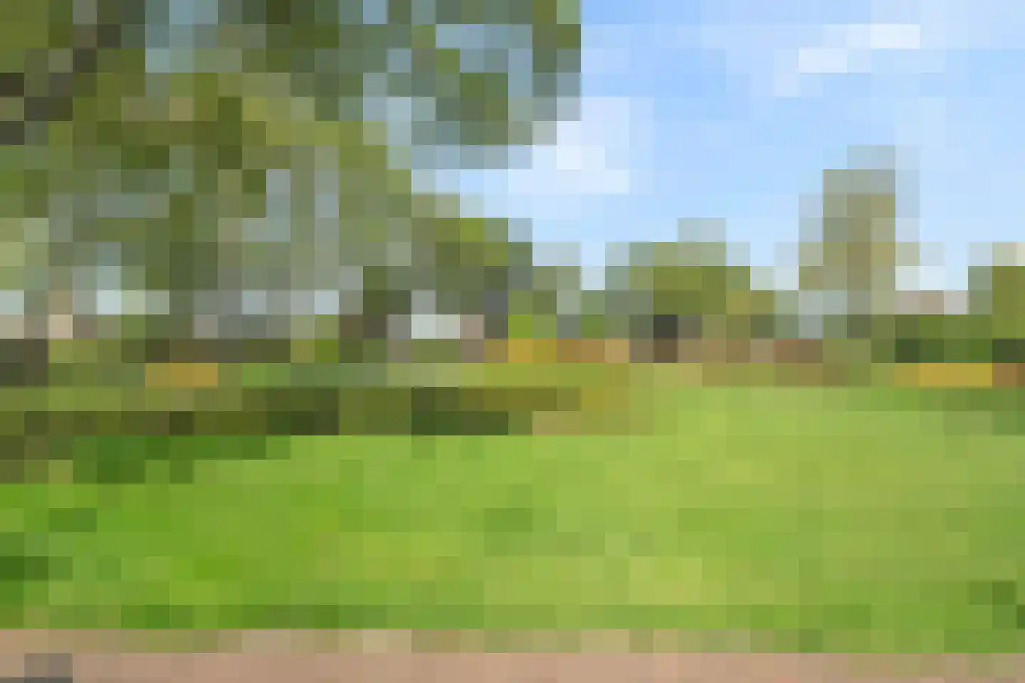 Julianalaan 10 't Veld thumbnail 33