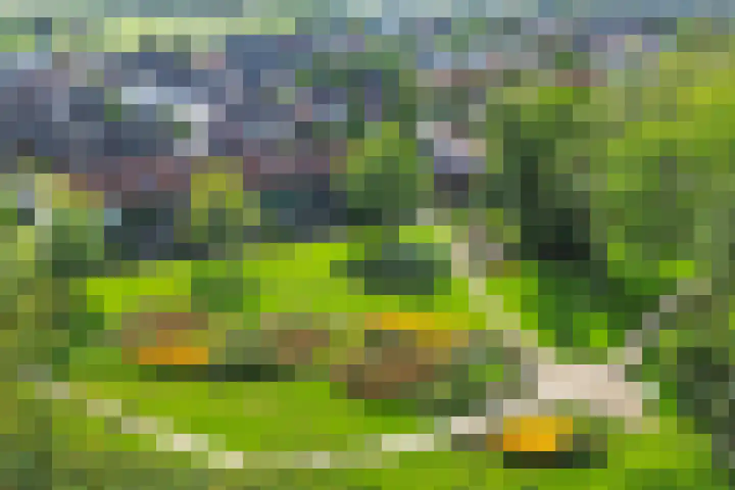 Julianalaan 10 't Veld thumbnail 5