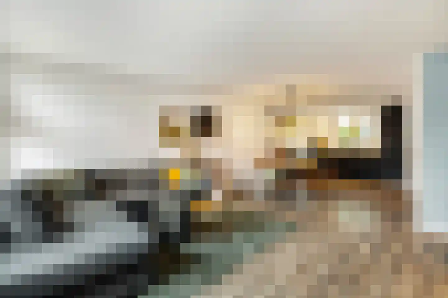 Julianalaan 10 't Veld thumbnail 8