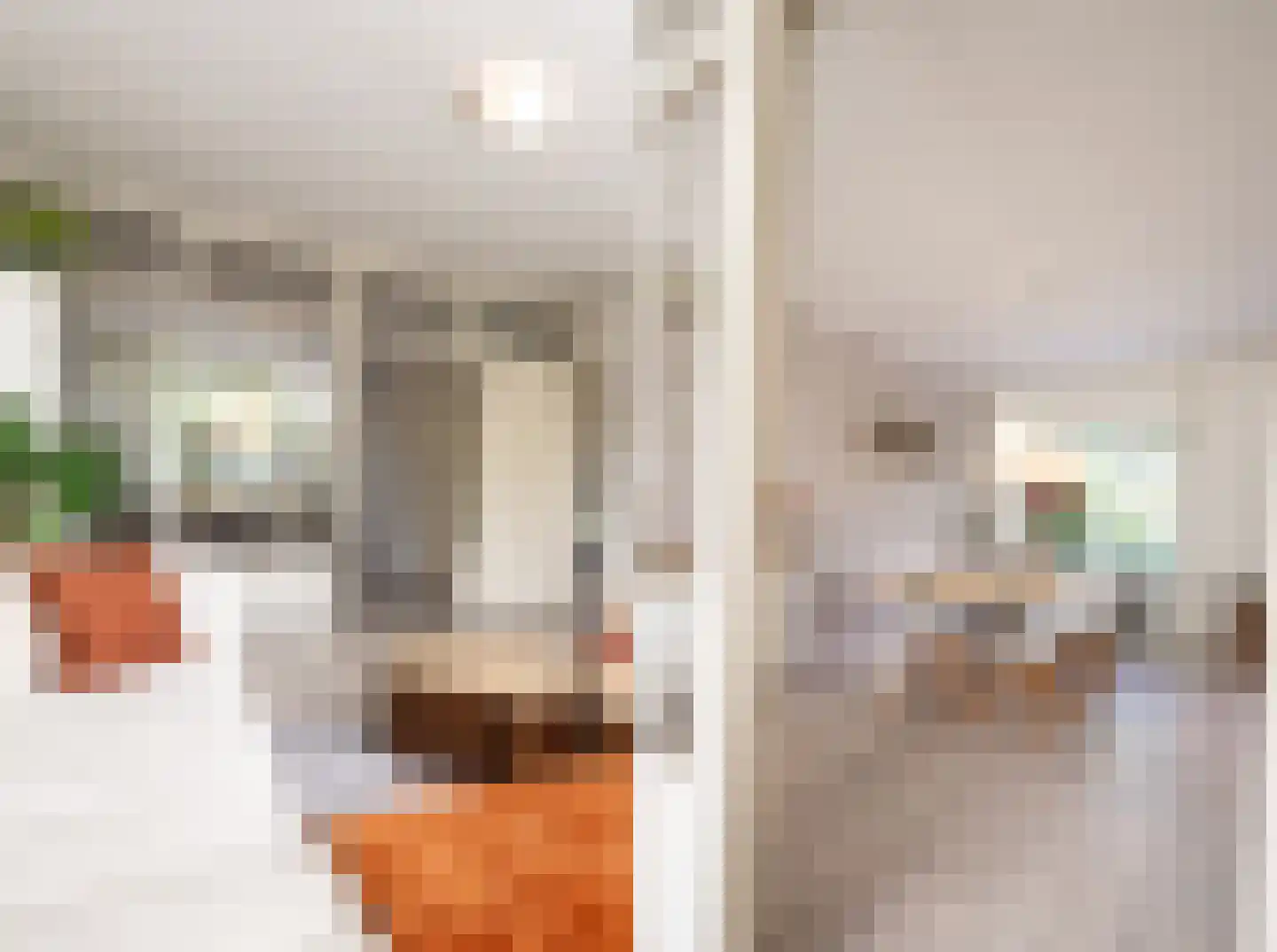Julianalaan 100 Oss thumbnail 10