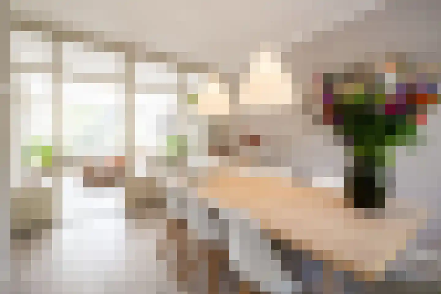 Julianalaan 100 Oss thumbnail 12