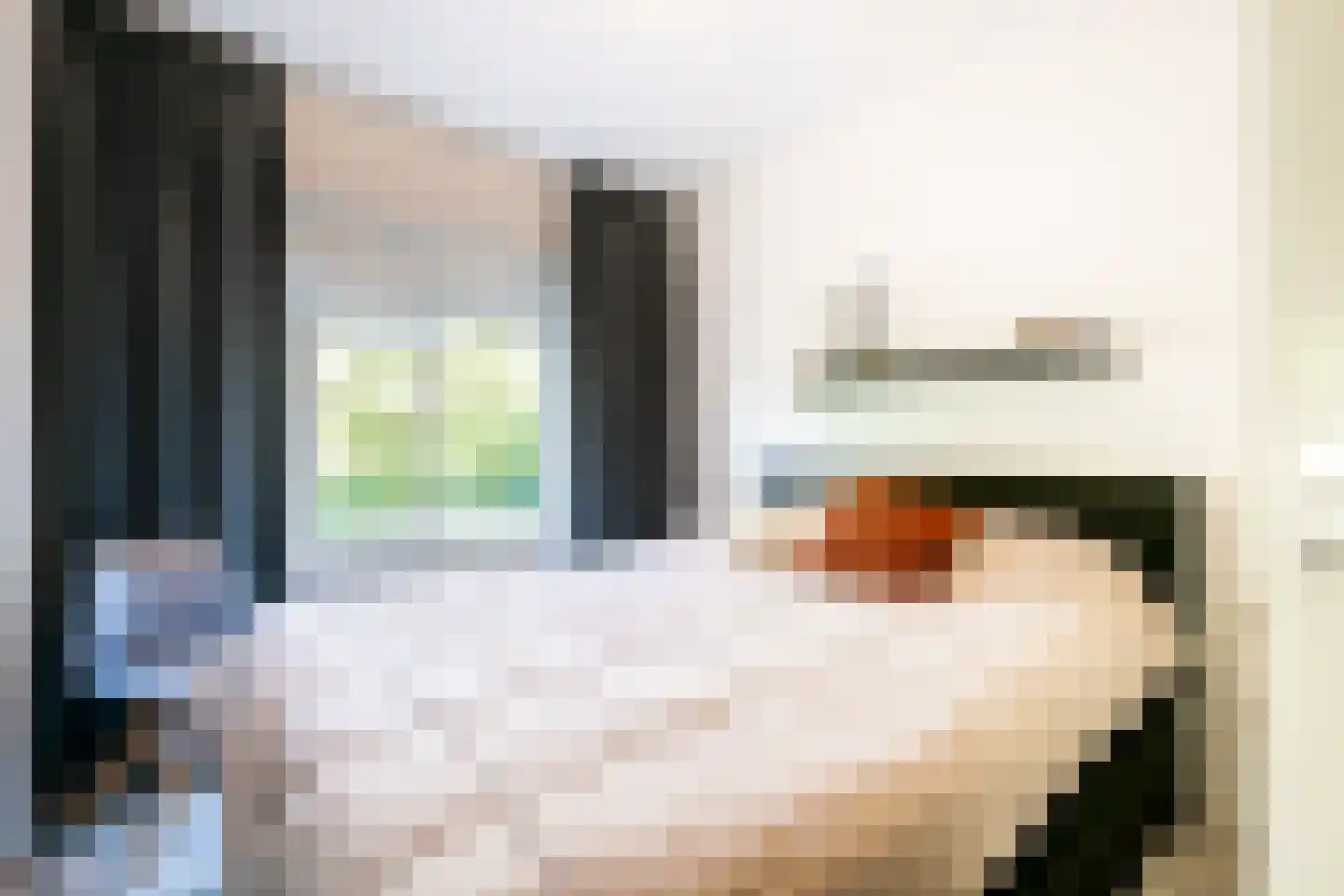 Julianalaan 100 Oss thumbnail 15