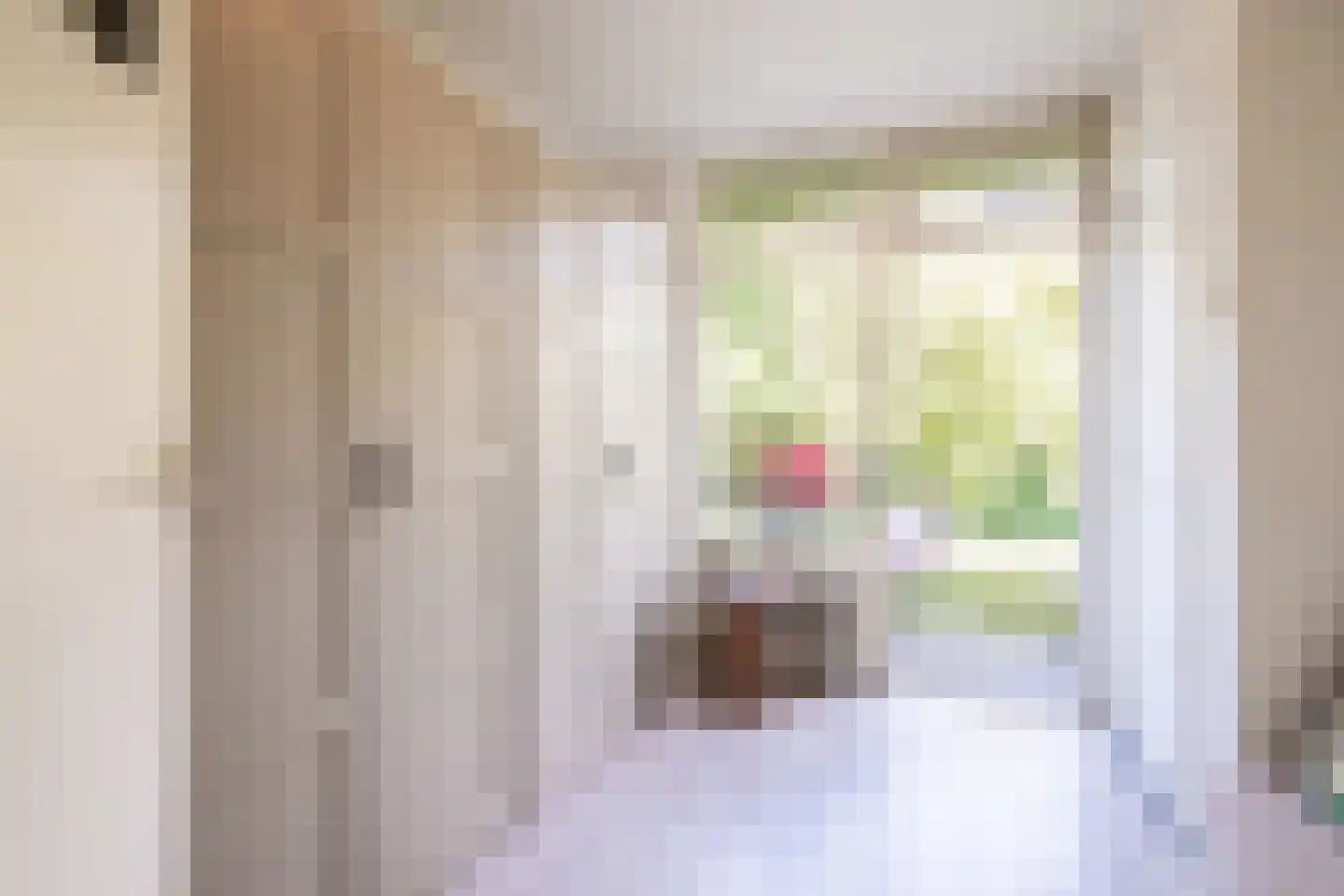 Julianalaan 100 Oss thumbnail 16