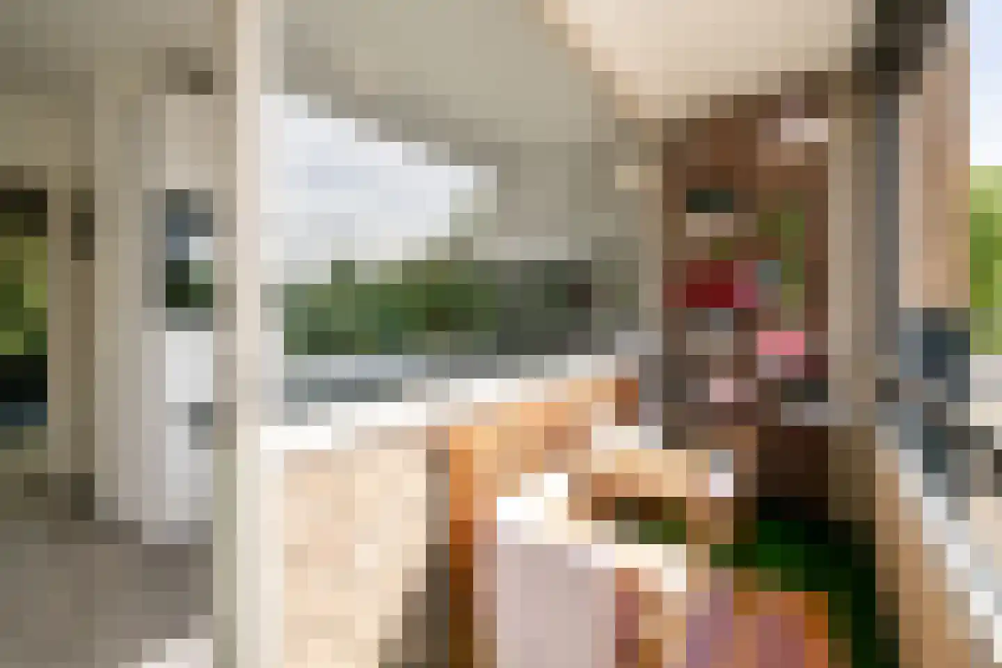 Julianalaan 100 Oss thumbnail 18