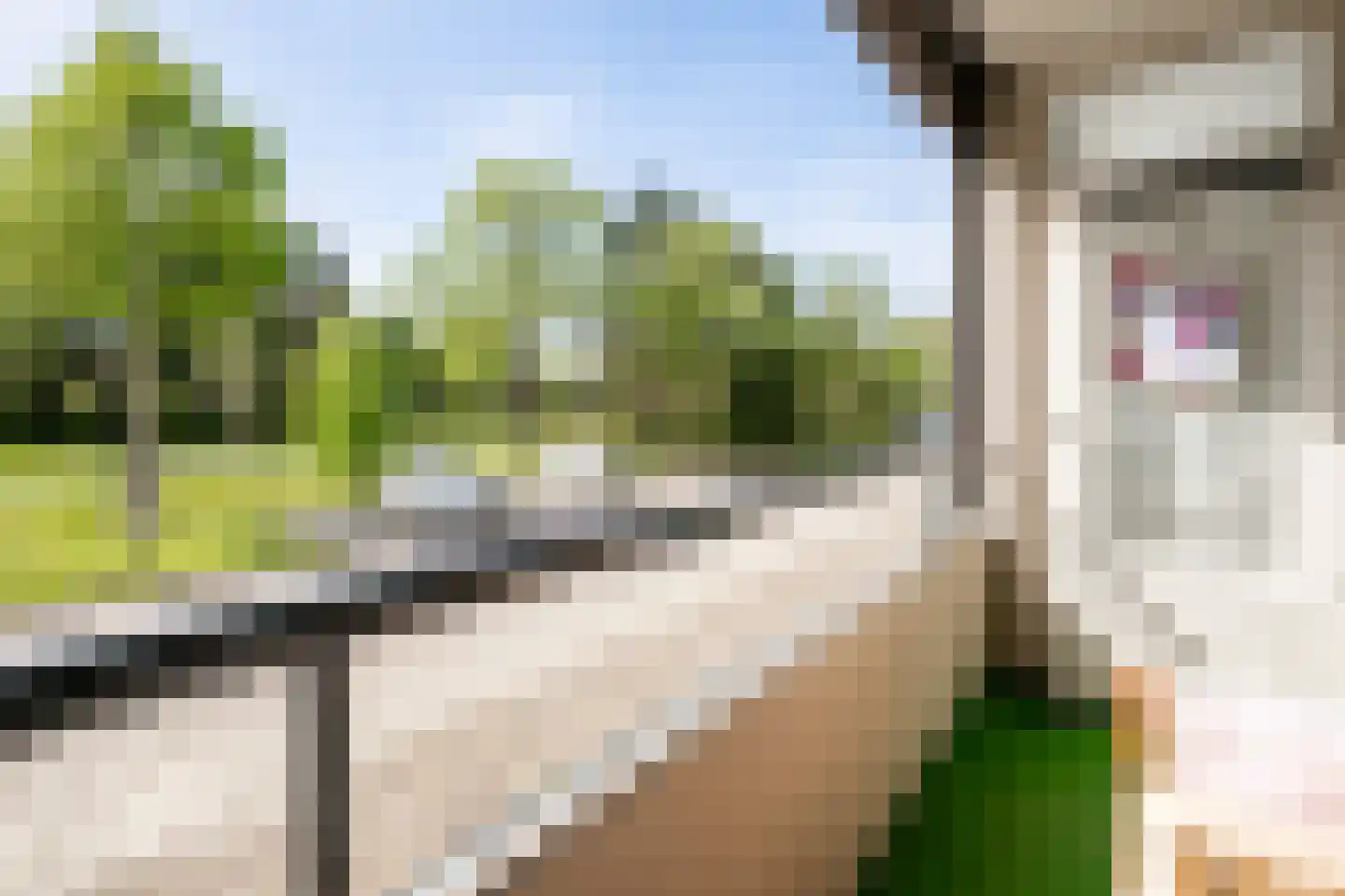Julianalaan 100 Oss thumbnail 19