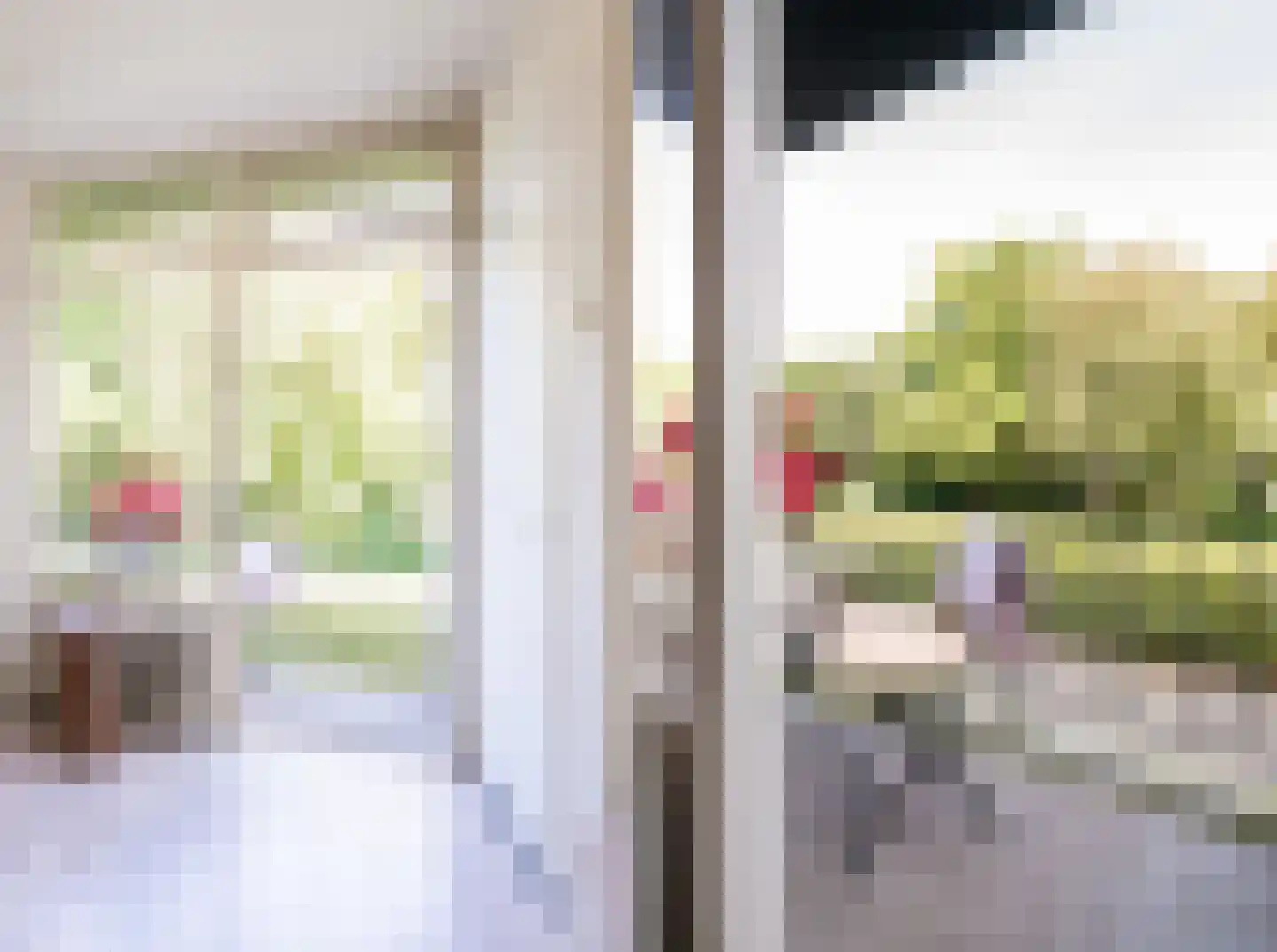 Julianalaan 100 Oss thumbnail 20