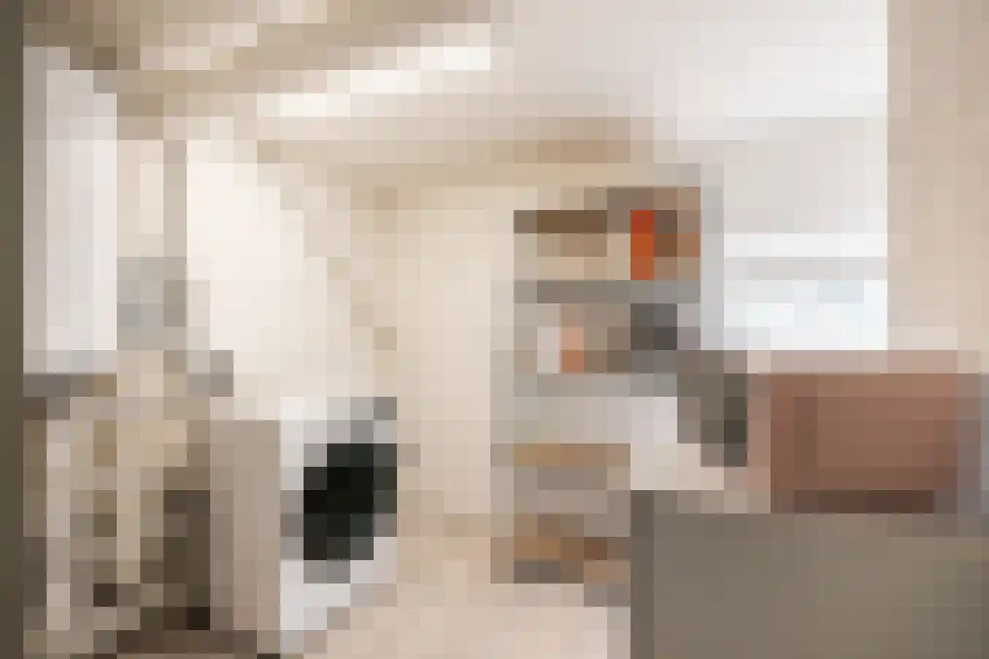 Julianalaan 100 Oss thumbnail 21