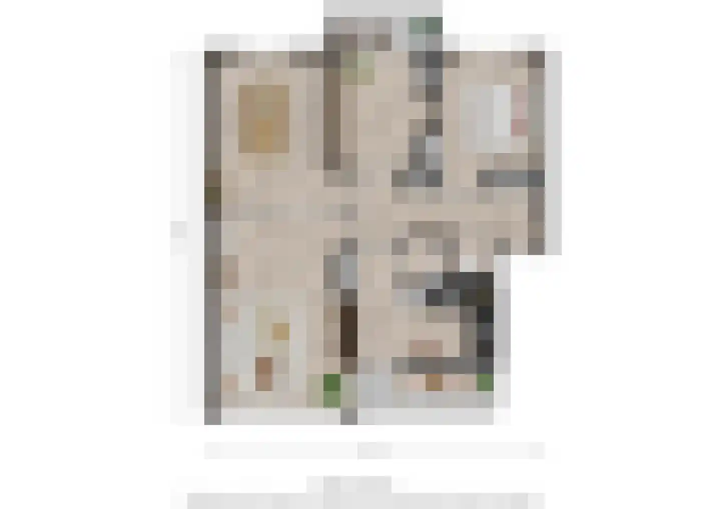 Julianalaan 100 Oss thumbnail 27
