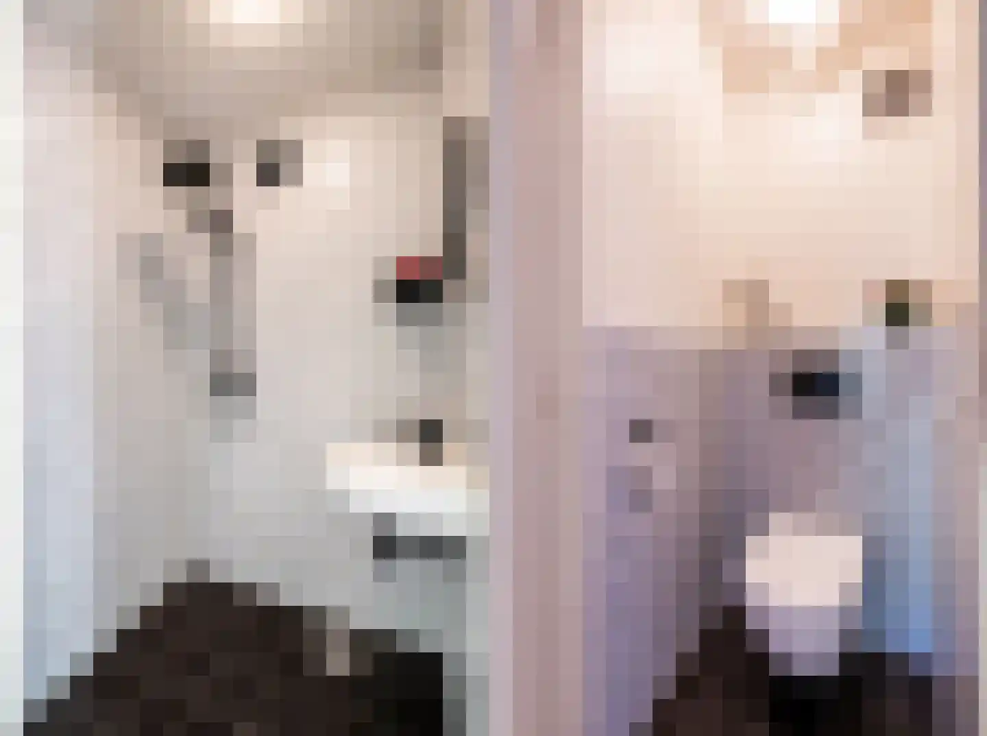 Julianalaan 100 Oss thumbnail 4