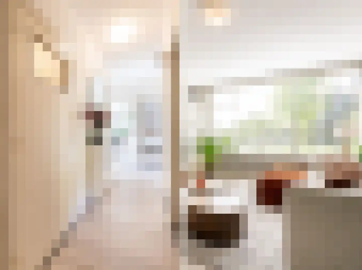 Julianalaan 100 Oss thumbnail 6