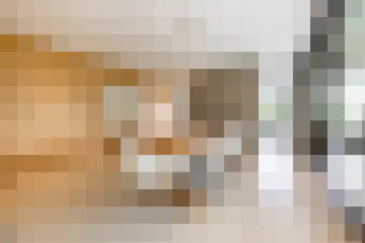 Julianalaan 100 Zuidlaren thumbnail 10