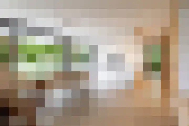 Julianalaan 100 Zuidlaren thumbnail 12