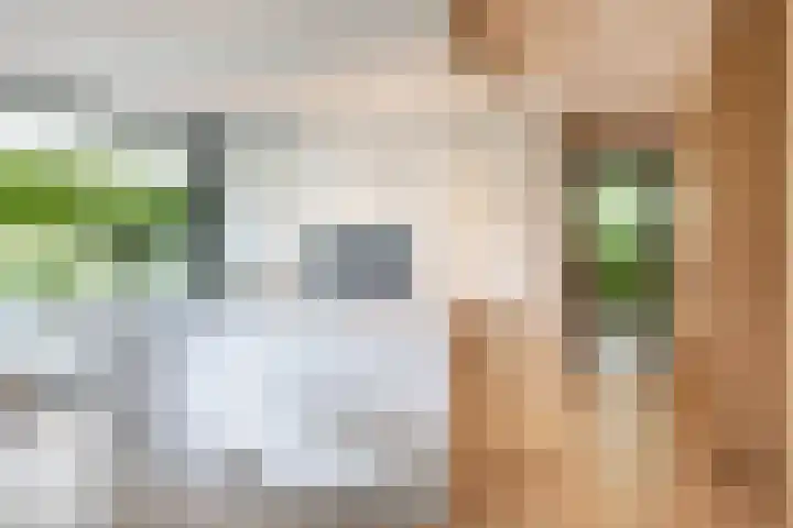 Julianalaan 100 Zuidlaren thumbnail 13