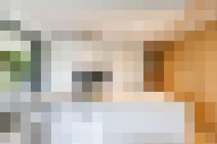 Julianalaan 100 Zuidlaren thumbnail 14
