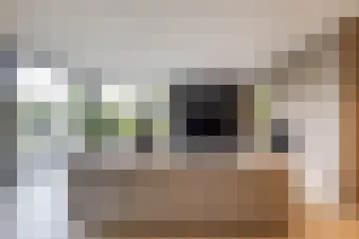 Julianalaan 100 Zuidlaren thumbnail 18
