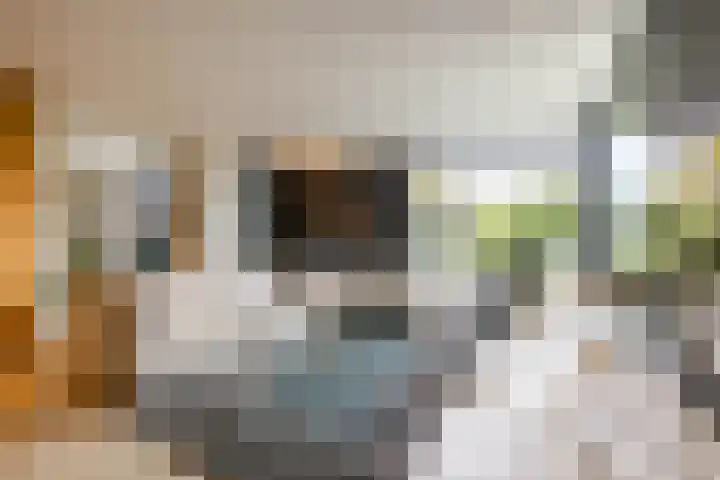 Julianalaan 100 Zuidlaren thumbnail 19