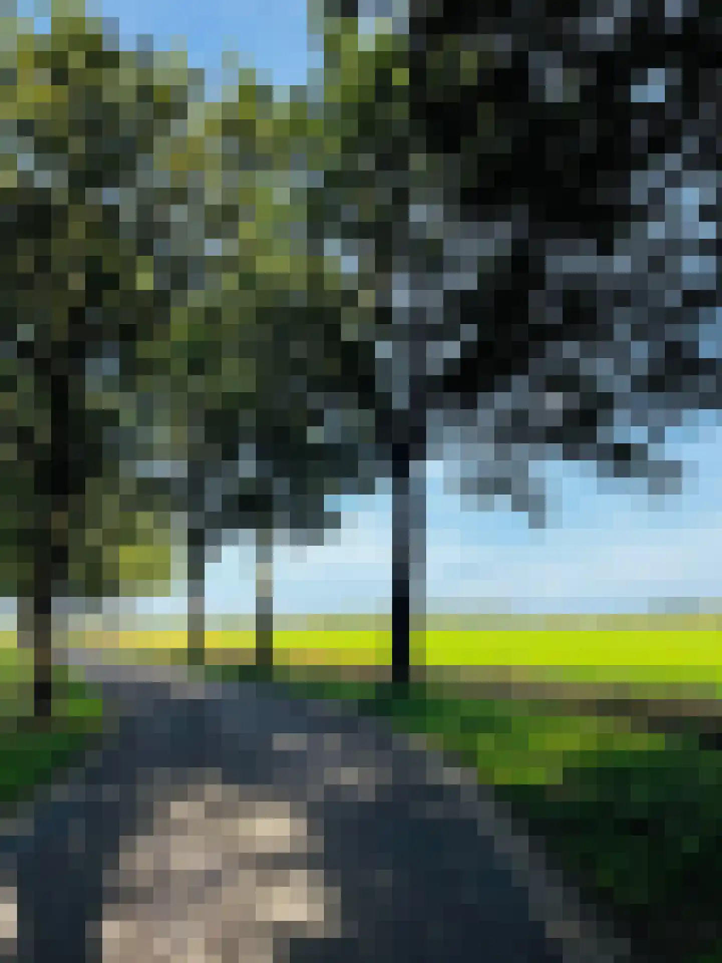 Julianalaan 100 Zuidlaren foto 2