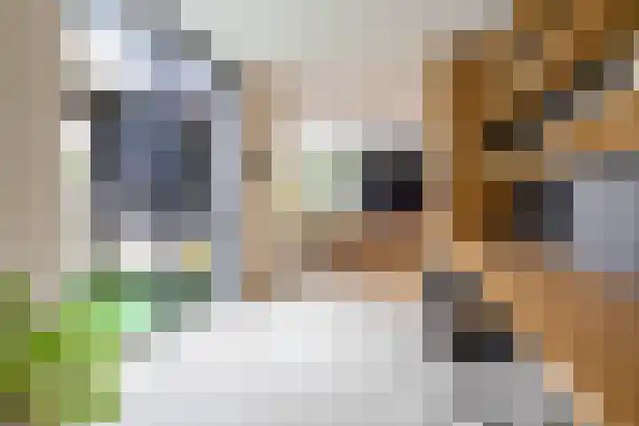 Julianalaan 100 Zuidlaren thumbnail 22