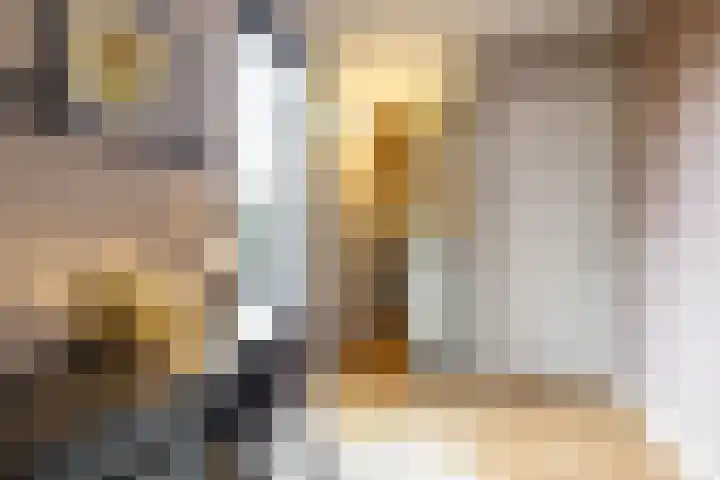 Julianalaan 100 Zuidlaren thumbnail 31