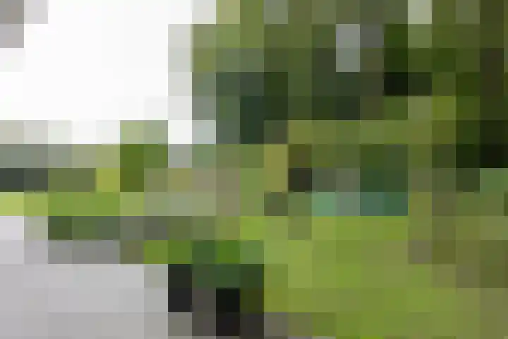 Julianalaan 100 Zuidlaren thumbnail 47
