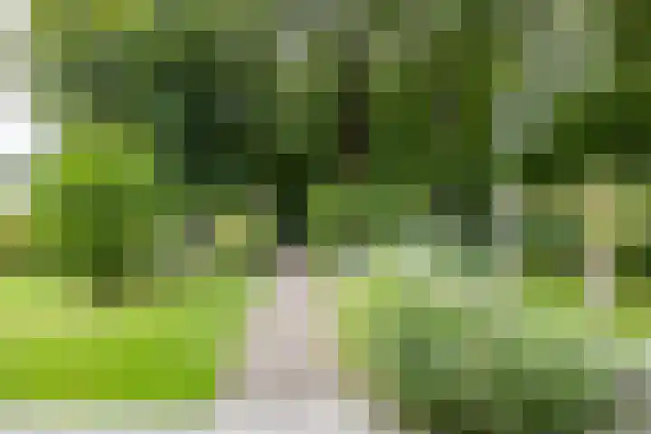 Julianalaan 100 Zuidlaren thumbnail 48