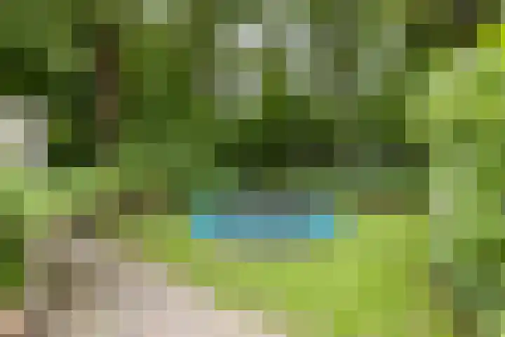 Julianalaan 100 Zuidlaren thumbnail 49