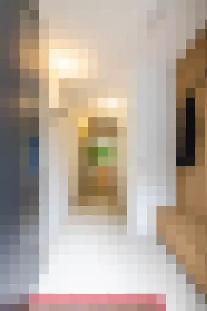 Julianalaan 100 Zuidlaren thumbnail 5