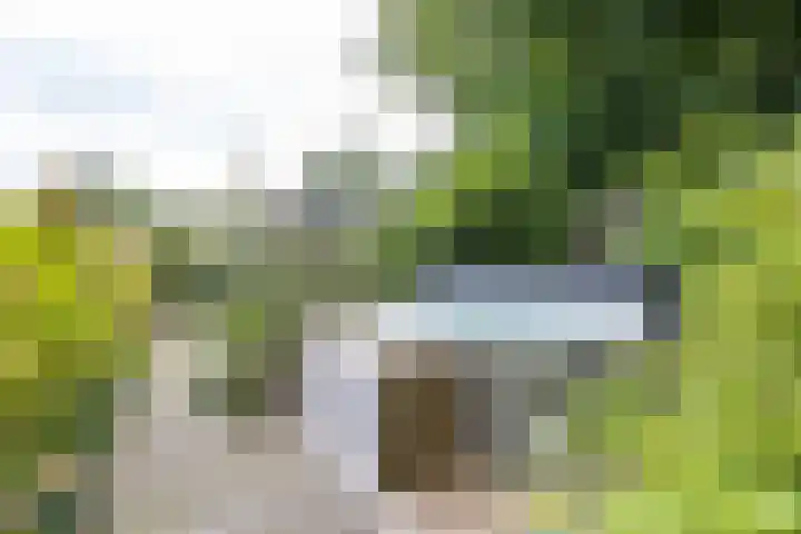 Julianalaan 100 Zuidlaren thumbnail 50
