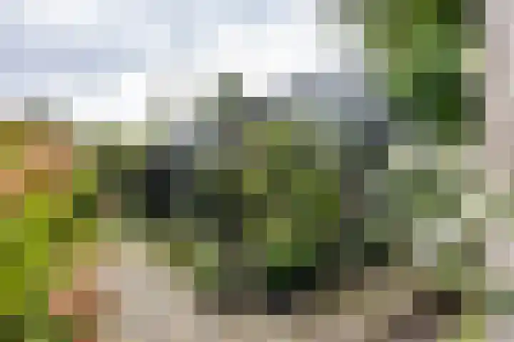Julianalaan 100 Zuidlaren thumbnail 51