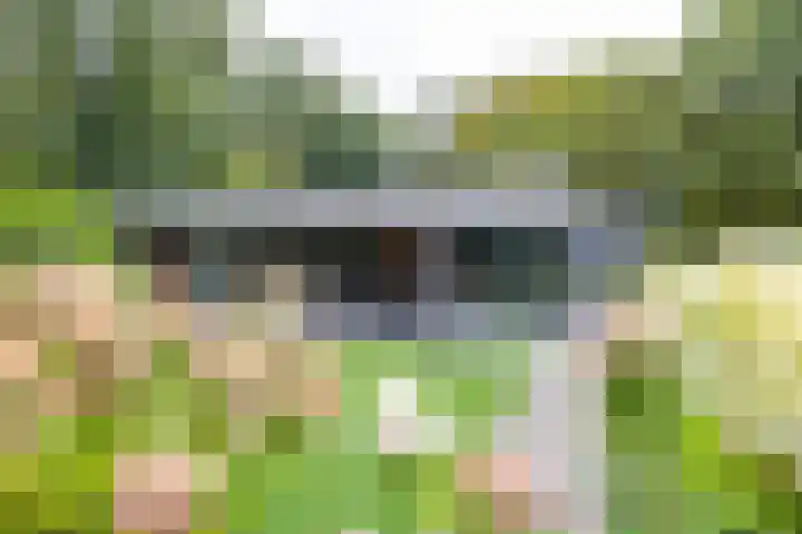 Julianalaan 100 Zuidlaren thumbnail 52