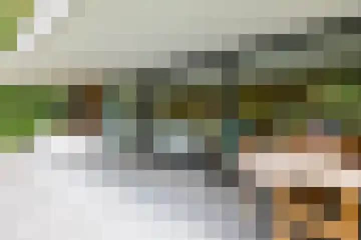 Julianalaan 100 Zuidlaren thumbnail 55