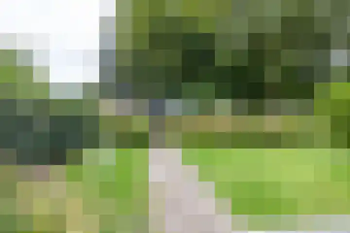 Julianalaan 100 Zuidlaren thumbnail 56