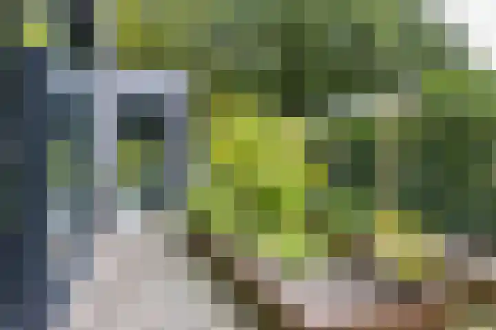 Julianalaan 100 Zuidlaren thumbnail 57