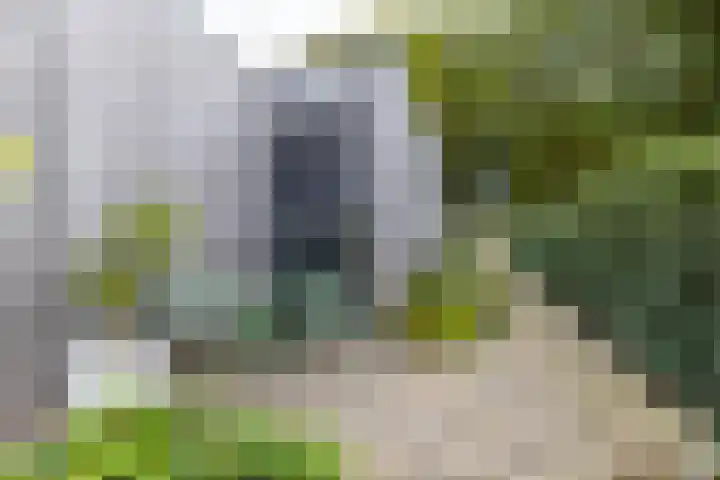 Julianalaan 100 Zuidlaren thumbnail 58