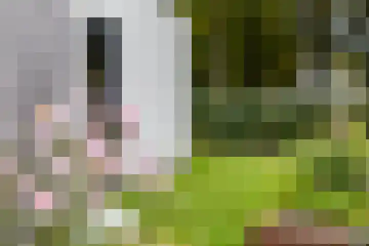 Julianalaan 100 Zuidlaren thumbnail 59
