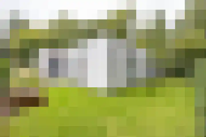 Julianalaan 100 Zuidlaren thumbnail 60