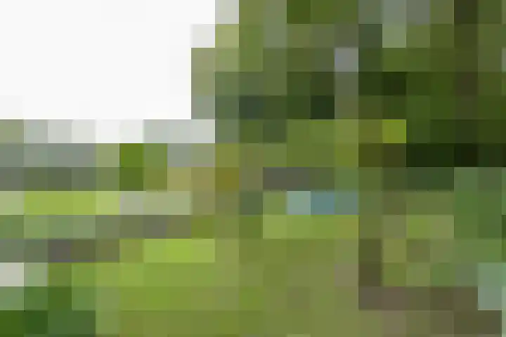 Julianalaan 100 Zuidlaren thumbnail 61