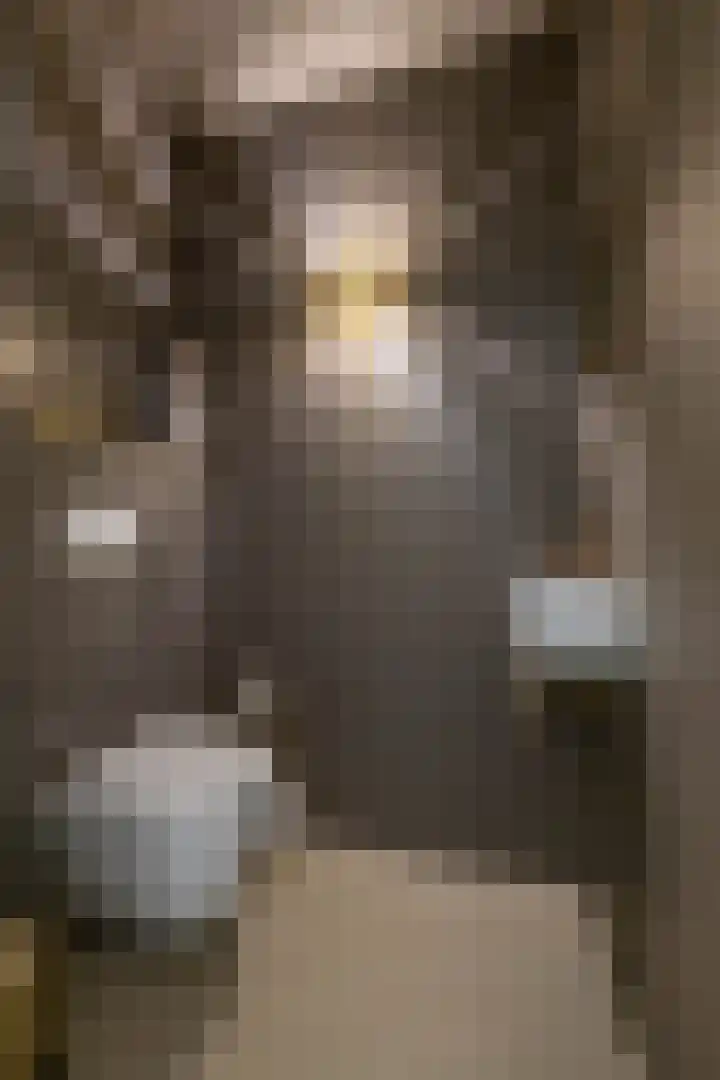 Julianalaan 100 Zuidlaren thumbnail 7