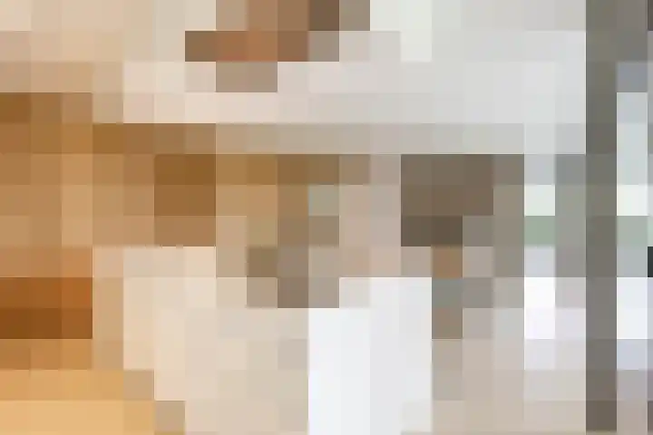 Julianalaan 100 Zuidlaren thumbnail 9